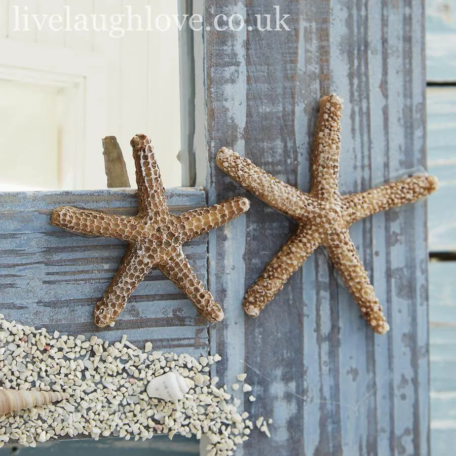 Large Nautical Wall Mirror with Sea birds, Shells & Starfish