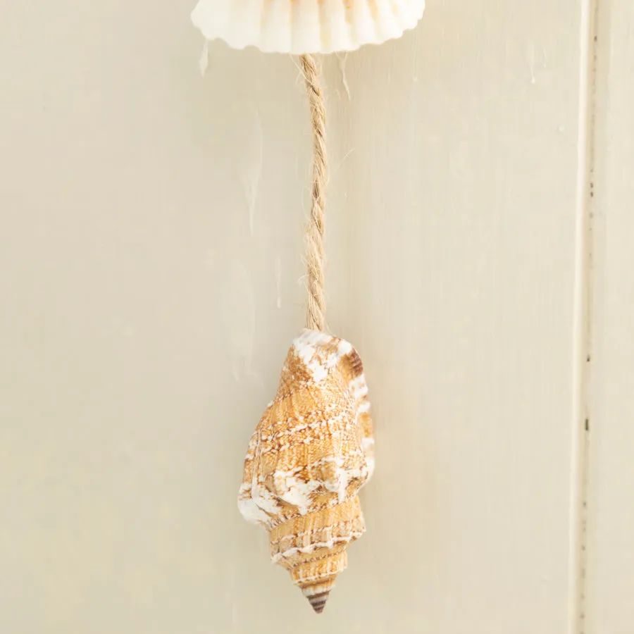 Nautical Wooden Wall Hanger with Fish/Anchor and Shells